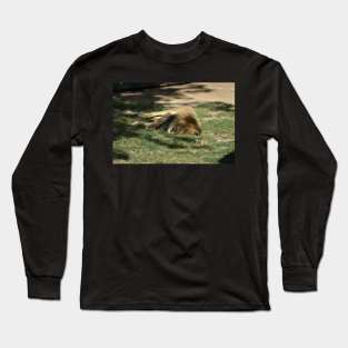 Lion Long Sleeve T-Shirt